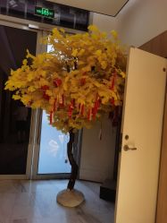 -西安伊美尔医疗美容医院