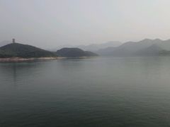 -望湖烤鱼