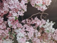 -徽镇小厨·经典徽菜(马连道店)