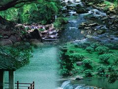 -广州市石门国家森林公园