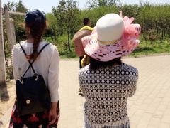 -洛阳郁金香牡丹园