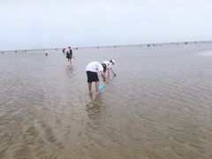 -刘家湾赶海园