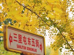 -三里屯东五街银杏大道