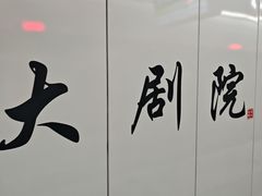 -大剧院(地铁站)