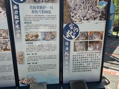 -青藏高原野生动物园