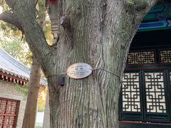 -即墨古城