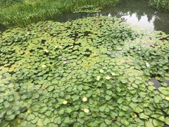 -尚贤河湿地