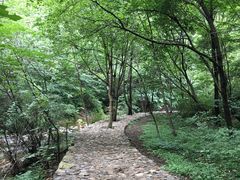 -九龙潭景区