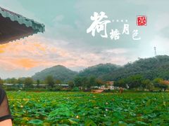 -红山村