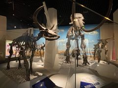 -国家自然博物馆