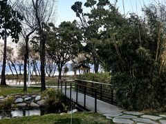 -洱海月湿地公园