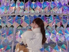 -沈阳奥林匹克体育中心