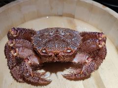 -蟹田居·活蟹料理(东城店)