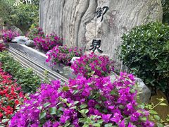 -陆地游轮西山温泉号