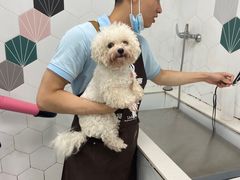 -瑞鹏宠物医院犬猫全科(真大分院)