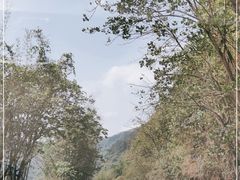 -赤水丹霞旅游区·佛光岩