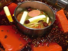 -蜀九香火锅(九眼桥店)