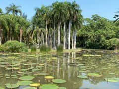 -中国科学院西双版纳热带植物园