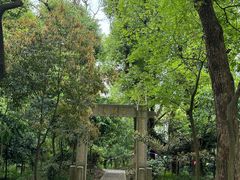 -上海佘山国家森林公园天马山园