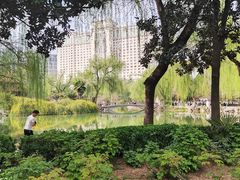 -西苑公园