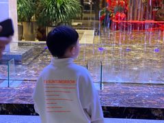 -常州环球恐龙城维景国际大酒店