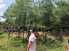 -梦幻奥陶纪景区