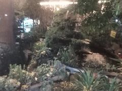 -凤来栖·净庭院·火锅(欧尚店)