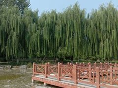 -丰台科技园生态主题公园