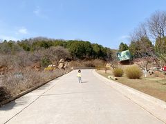 -北京西山国家森林公园