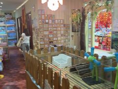-宠物兔专门店(天丰利市场店)