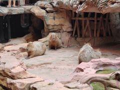 -长鹿旅游休博园