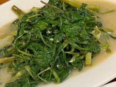 -煲煲掂风味煲仔饭餐厅(西区店)