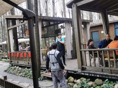 -林间山庄