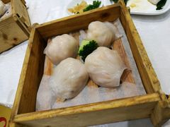 -鹅城