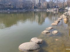 -莲湖公园