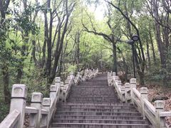 -灵岩山风景区