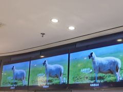 -蝎王府羊蝎子(西直门店)