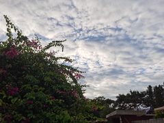 -香麒园·过桥米线·南湖雅宴
