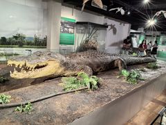 -国家自然博物馆