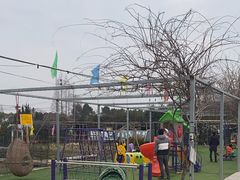 -小鱼草莓采摘园农家乐·小鱼餐厅