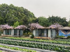 -洪湖家庭农场·团建·露营·会议