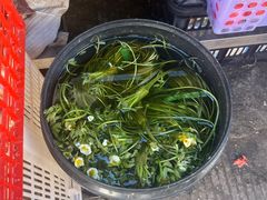 -南门绿玉农贸市场