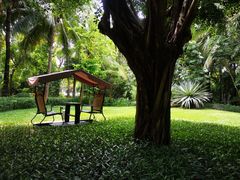 -三亚湾海居铂尔曼度假酒店