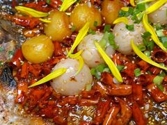 -马邦子·紫苏烤鱼(恒隆广场店)