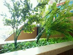 -风致肯麦基(忠信店)