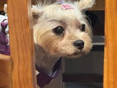 -竹乡人家大鱼头(南山竹海店)