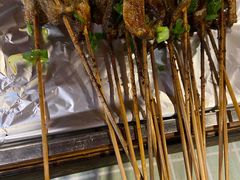 -晓靖轩烧烤(沙河风情店)