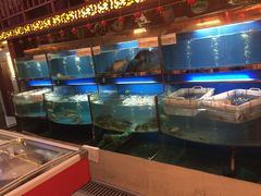 -大明府膳食坊