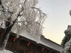 -台儿庄古城