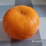 香雾柑：果糖13°